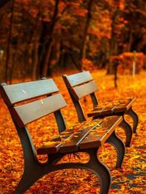 🍓9.1快看漫画-9.1快看漫画正在播放-封面