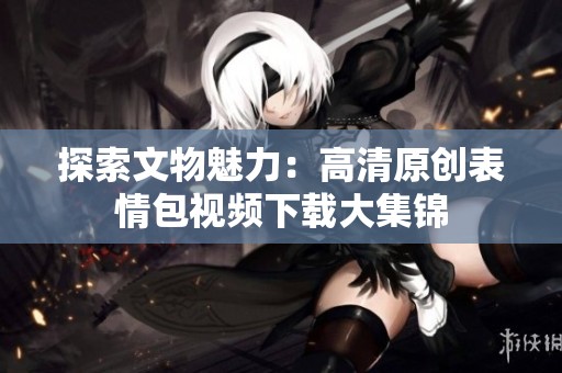 探索文物魅力：高清原创表情包视频下载大集锦