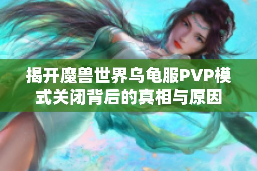 揭开魔兽世界乌龟服PVP模式关闭背后的真相与原因