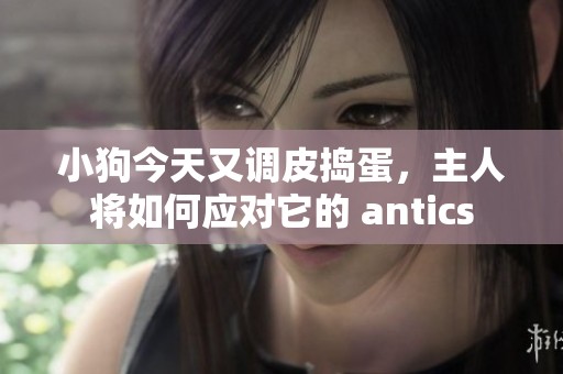 小狗今天又调皮捣蛋，主人将如何应对它的 antics