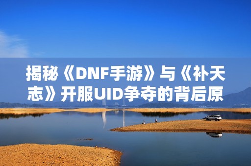 揭秘《DNF手游》与《补天志》开服UID争夺的背后原因与策略