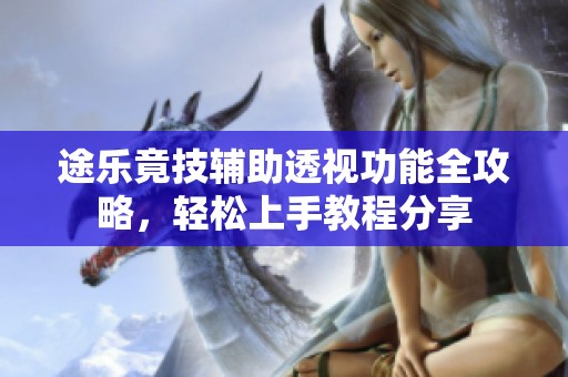 途乐竟技辅助透视功能全攻略，轻松上手教程分享