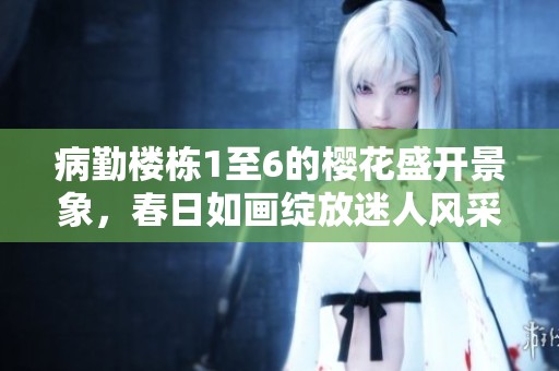 病勤楼栋1至6的樱花盛开景象，春日如画绽放迷人风采