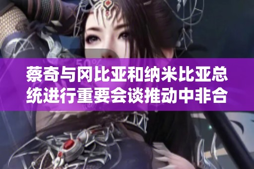 蔡奇与冈比亚和纳米比亚总统进行重要会谈推动中非合作发展