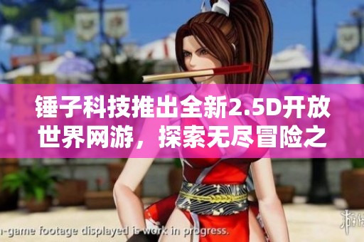 锤子科技推出全新2.5D开放世界网游，探索无尽冒险之旅