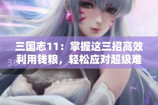 三国志11：掌握这三招高效利用钱粮，轻松应对超级难度挑战