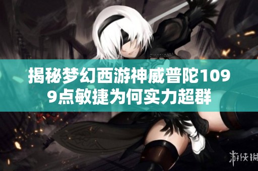 揭秘梦幻西游神威普陀1099点敏捷为何实力超群