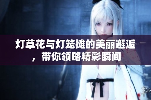灯草花与灯笼摊的美丽邂逅，带你领略精彩瞬间