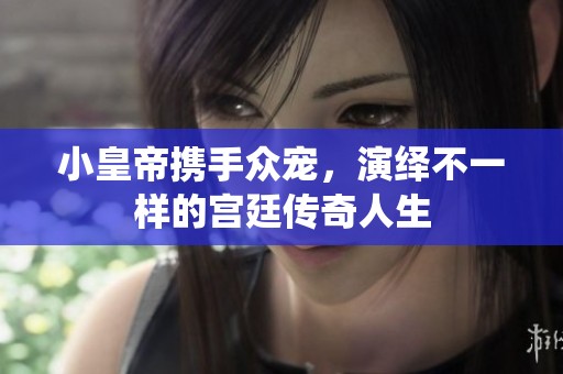 小皇帝携手众宠，演绎不一样的宫廷传奇人生