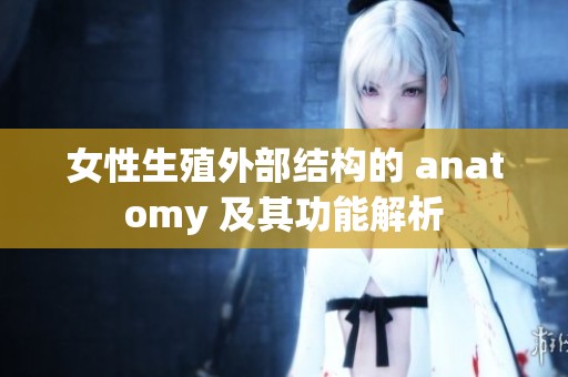 女性生殖外部结构的 anatomy 及其功能解析