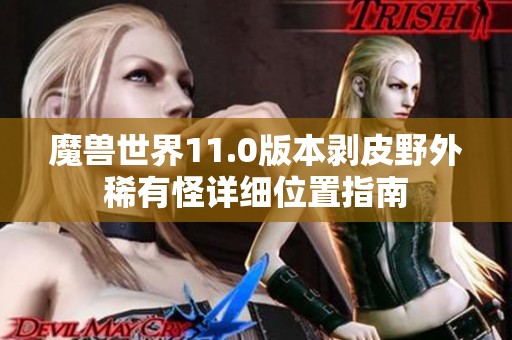 魔兽世界11.0版本剥皮野外稀有怪详细位置指南