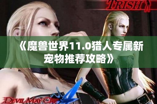 《魔兽世界11.0猎人专属新宠物推荐攻略》