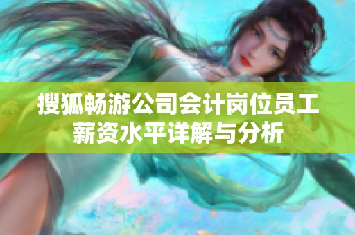 搜狐畅游公司会计岗位员工薪资水平详解与分析