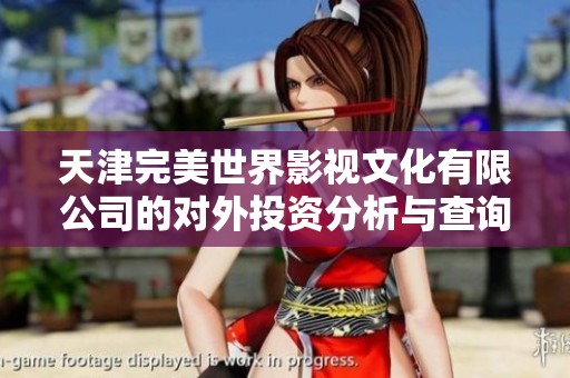 天津完美世界影视文化有限公司的对外投资分析与查询方法