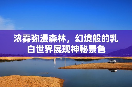 浓雾弥漫森林，幻境般的乳白世界展现神秘景色