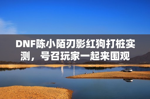 DNF陈小陌刃影红狗打桩实测，号召玩家一起来围观