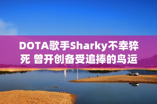 DOTA歌手Sharky不幸猝死 曾开创备受追捧的鸟运瓶战术