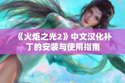 《火炬之光2》中文汉化补丁的安装与使用指南