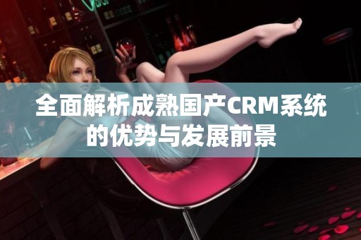 全面解析成熟国产CRM系统的优势与发展前景