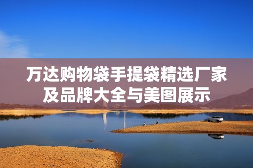 万达购物袋手提袋精选厂家及品牌大全与美图展示