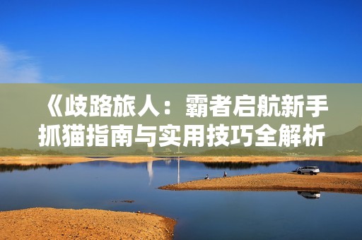 《歧路旅人：霸者启航新手抓猫指南与实用技巧全解析》