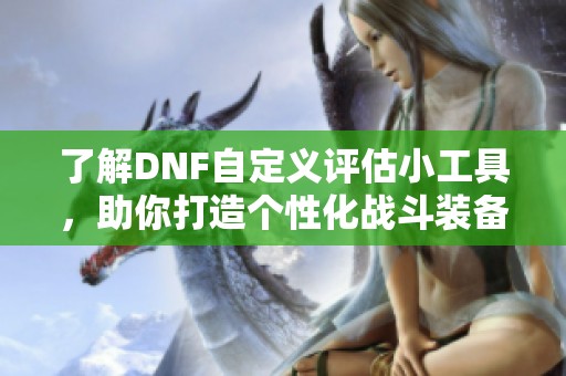 了解DNF自定义评估小工具，助你打造个性化战斗装备！