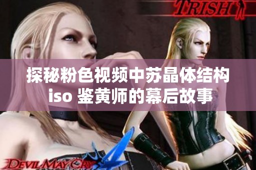 探秘粉色视频中苏晶体结构 iso 鉴黄师的幕后故事