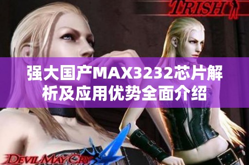 强大国产MAX3232芯片解析及应用优势全面介绍