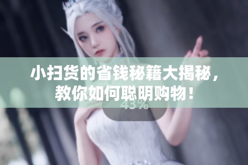 小扫货的省钱秘籍大揭秘，教你如何聪明购物！