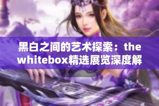 黑白之间的艺术探索：thewhitebox精选展览深度解析