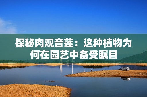 探秘肉观音莲：这种植物为何在园艺中备受瞩目