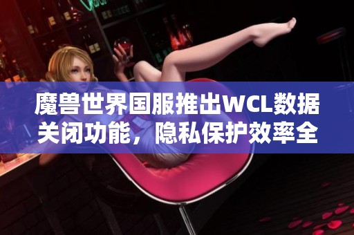 魔兽世界国服推出WCL数据关闭功能，隐私保护效率全球领先