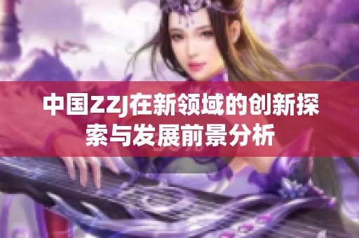 中国ZZJ在新领域的创新探索与发展前景分析