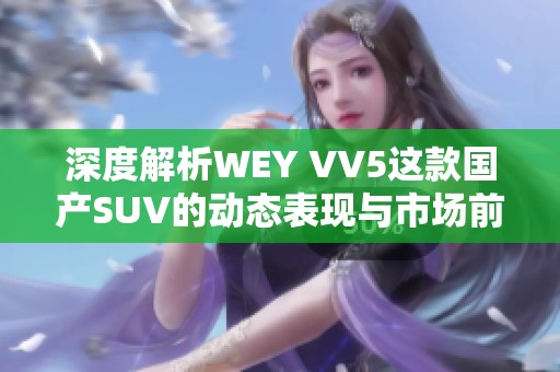 深度解析WEY VV5这款国产SUV的动态表现与市场前景