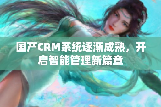 国产CRM系统逐渐成熟，开启智能管理新篇章