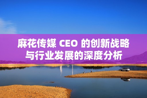 麻花传媒 CEO 的创新战略与行业发展的深度分析