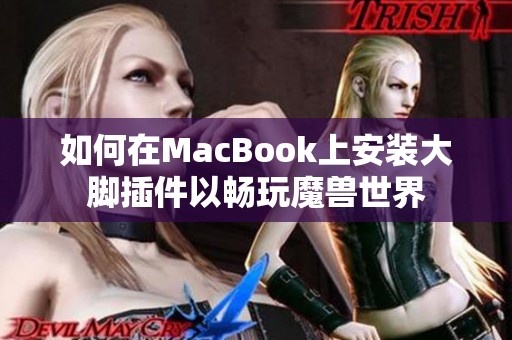 如何在MacBook上安装大脚插件以畅玩魔兽世界