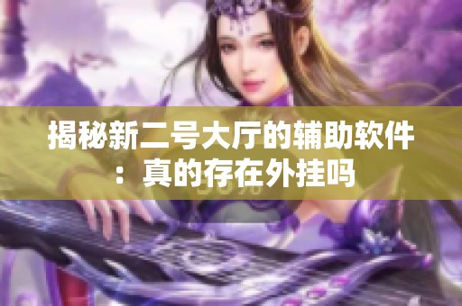 揭秘新二号大厅的辅助软件：真的存在外挂吗