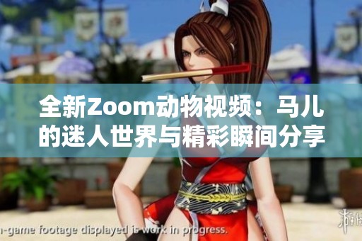 全新Zoom动物视频：马儿的迷人世界与精彩瞬间分享