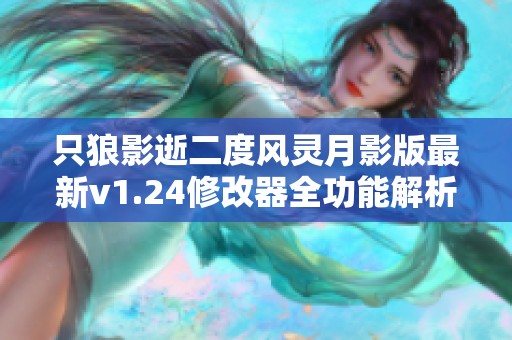 只狼影逝二度风灵月影版最新v1.24修改器全功能解析与使用指南