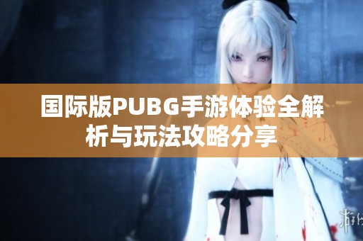 国际版PUBG手游体验全解析与玩法攻略分享