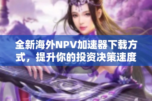 全新海外NPV加速器下载方式，提升你的投资决策速度与效率