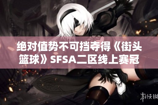 绝对值势不可挡夺得《街头篮球》SFSA二区线上赛冠军