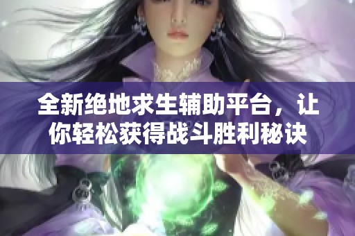 全新绝地求生辅助平台，让你轻松获得战斗胜利秘诀