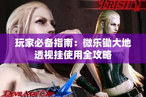 玩家必备指南：微乐锄大地透视挂使用全攻略