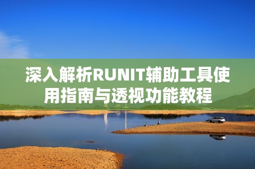 深入解析RUNIT辅助工具使用指南与透视功能教程