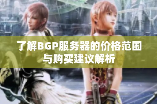 了解BGP服务器的价格范围与购买建议解析