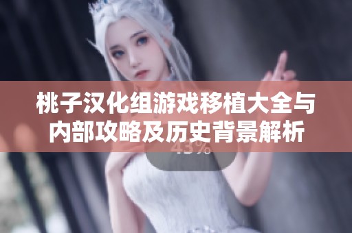 桃子汉化组游戏移植大全与内部攻略及历史背景解析