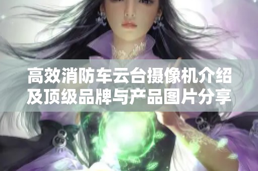 高效消防车云台摄像机介绍及顶级品牌与产品图片分享