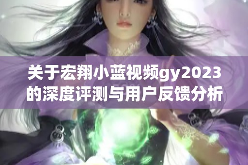 关于宏翔小蓝视频gy2023的深度评测与用户反馈分析
